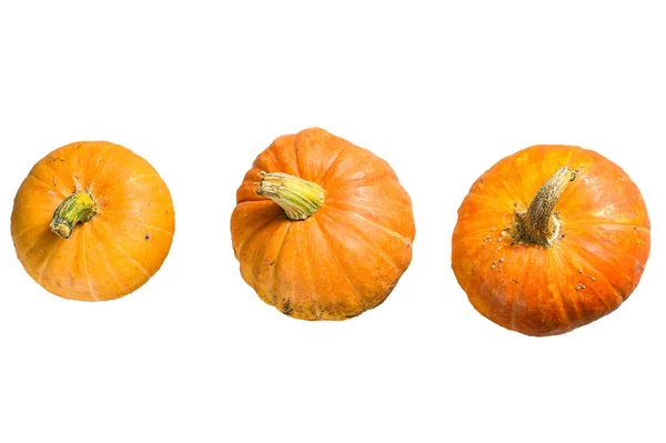 Herfst Pompoen Thanksgiving Achtergrond Oranje Pompoenen Een Houten Tafel Geïsoleerd — Stockfoto