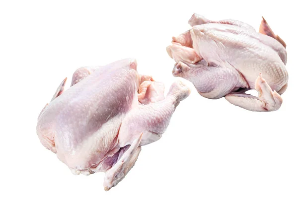 Cały Surowy Kurczak Wolnego Wybiegu Izolacja Białym Tle — Zdjęcie stockowe