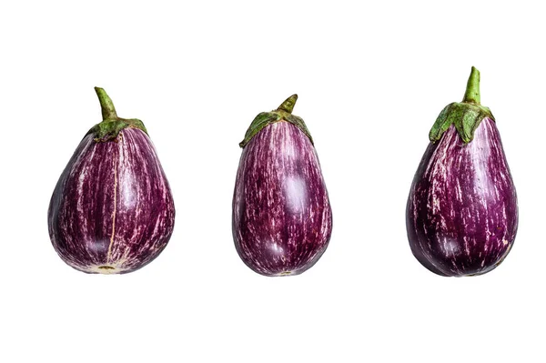 生的亚洲紫色小茄子 因白人背景而被隔离 — 图库照片
