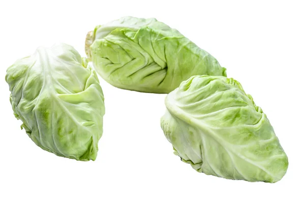 Raw Pointed White Cabbage Head Isolated White Background — Stock Photo, Image