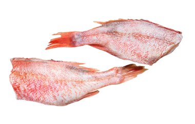 Çiğ kırmızı levrek ya da deniz kabuğu balığı. Beyaz arkaplanda izole