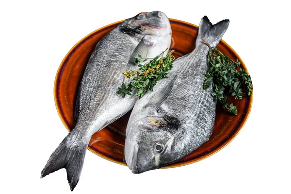 Pescado Crudo Besugo Ingredientes Para Cocinar Aislado Sobre Fondo Blanco —  Fotos de Stock