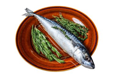 Tuzlu balık uskumrusu ve otlar. Beyaz arkaplanda izole