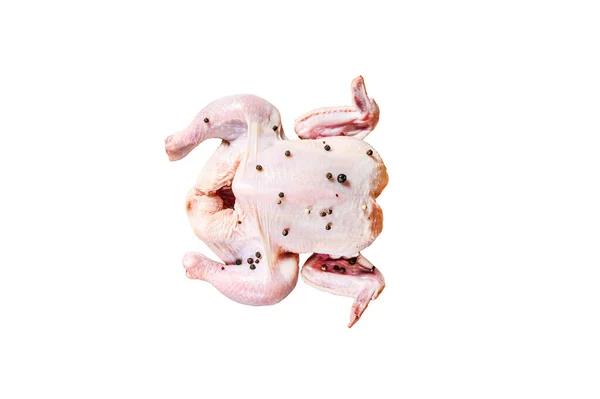 烹调整只鸡的概念 迷迭香 粉红盐 樱桃西红柿 因白人背景而被隔离 — 图库照片