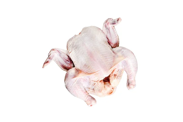 Begreppet Matlagning Hela Kyckling Med Rosmarin Och Rosépeppar Isolerad Vit — Stockfoto