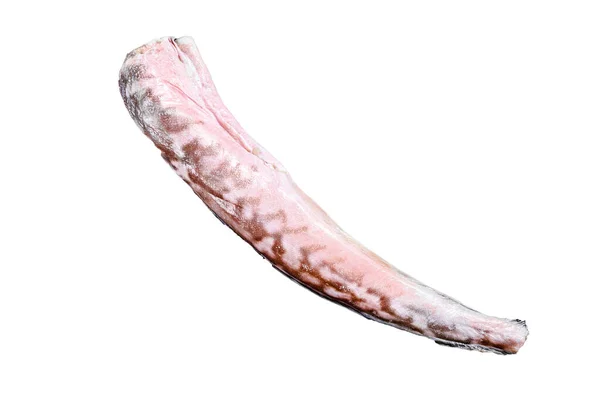 Çiğ Kral Klip Satırda Congrio Balığı Beyaz Arkaplanda Izole — Stok fotoğraf