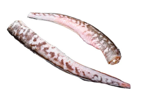 Сира Морська Вугорна Риба Ізольовані Білому Тлі — стокове фото