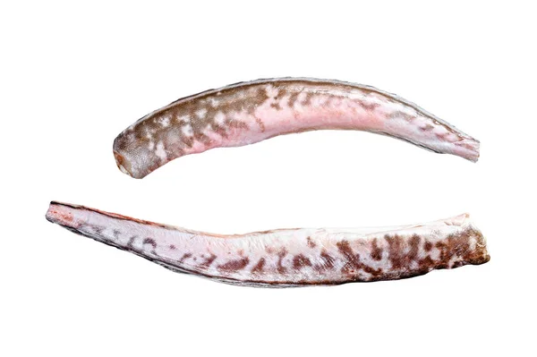 Raw King Klip Congrio Fish Izolováno Bílém Pozadí — Stock fotografie