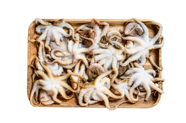 Rohe Baby Krake Isoliert Auf Weißem Hintergrund — Stockfoto