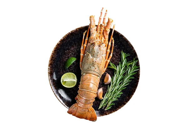Gourmet Dinner Spiny Lobster Sea Crayfish Plate Isolated White Background — Stock Photo, Image