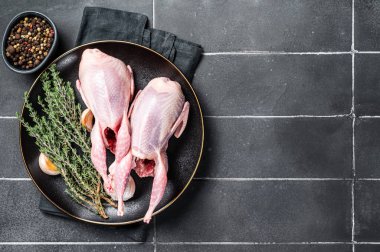 Taze organik bıldırcın, otlu çiğ kümes hayvanları. Siyah arka plan. Üst Manzara. Boşluğu kopyala.