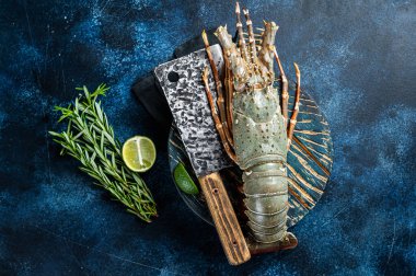Spiny lobster on a wooden cutting board, raw seafood. Blue background. Top view.