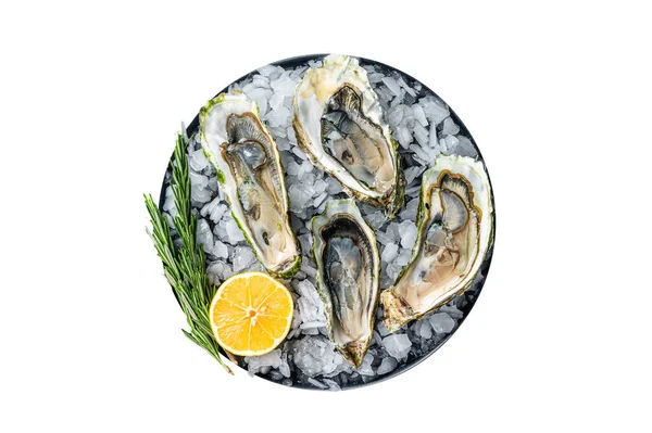 海鲜开胃菜 开放新鲜牡蛎与柠檬和冰 因白人背景而被隔离 — 图库照片