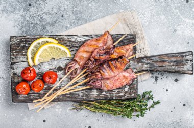 Japanese Barbecue Squid on stick. Gray background. Top view.