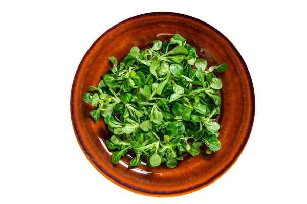 Feuilles Salade Maïs Vert Frais Sur Une Assiette Rustique Isolat — Photo
