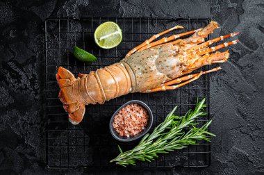 Boiled Spiny lobster or sea crayfish ready for eat. Black background. Top view.