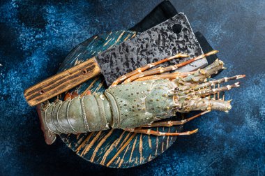 Spiny lobster on a wooden cutting board, raw seafood. Blue background. Top view.