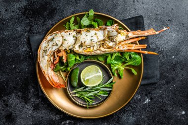 Grilled Spiny lobster with salad on a plate. Black background. Top view.