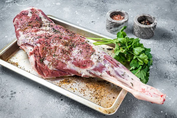 Marinated whole mutton leg, raw lamb meat with thyme, spices and olive oil. Gray background. Top view.