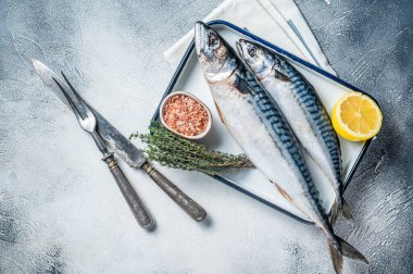 Raw mackerel scomber fish with ingredients for cooking in baking dish. White background. Top view.