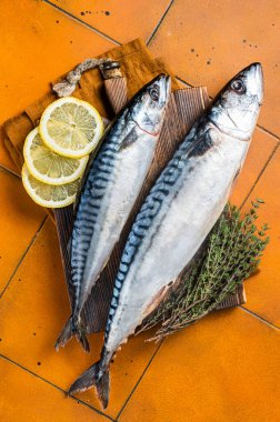 Raw mackerel fish, Scombrus with herbs and spices on wooden board. Orange background. Top view.