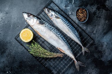 Fresh Raw mackerel scomber fish ready for grilling. Black background. Top view.