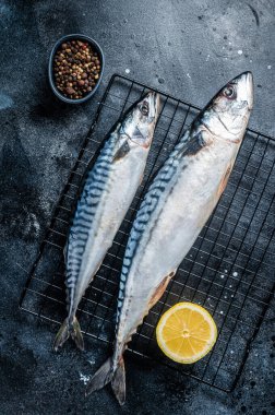 Fresh Raw mackerel scomber fish ready for grilling. Black background. Top view.