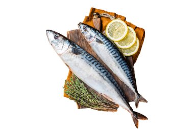 Çiğ uskumru balığı, tahta tahtada otlar ve baharatlarla Scombrus. İzole, beyaz arkaplan