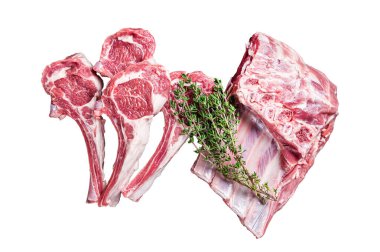 Mutfak masasında baharat ve otlarla taze çiğ kuzu eti pirzolası. İzole, beyaz arkaplan