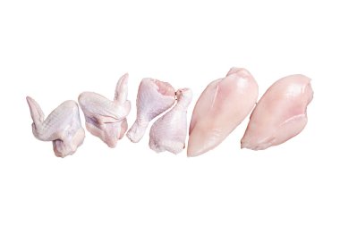 Tavuk eti çeşitleri. Çiğ parçalar - but, göğüs filetosu, kanatlar, but. İzole, beyaz arkaplan