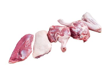 Çiğ ördek eti pişmeye hazır, göğüs filetosu, bacaklar, kanatlar. İzole, beyaz arkaplan