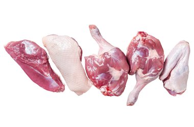 Çiğ ördek eti pişmeye hazır, göğüs filetosu, bacaklar, kanatlar. İzole, beyaz arkaplan