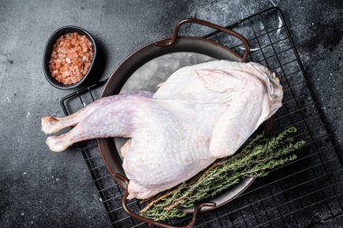 Raw Guineafowl, guinea fowl with herbs in steel tray. Black background. Top view.