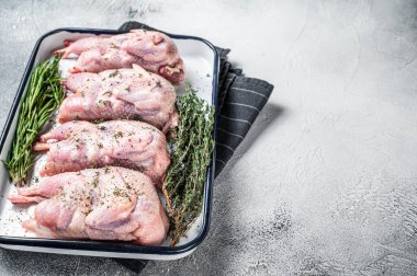 Raw quail meat with spices, garlic and herbs ready to cooking in baking dish. White background. Top view. Copy space.