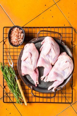 Raw whole quails ready for cooking. Orange background. Top view.