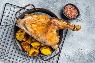 Baked Guineafowl, guinea fowl with potato in steel tray. Gray background. Top view.