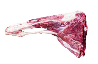Kemiğin üzerinde bütün çiğ kuzu bacağı eti. İzole, beyaz arkaplan