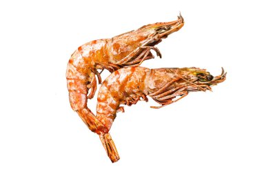 Langoustine usulü ızgara ızgara ve otlu dev karides. Beyaz arkaplanda izole