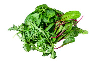 Taze sebzeler, ıspanak, İsviçre pazısı ve roka. Beyaz arkaplanda izole