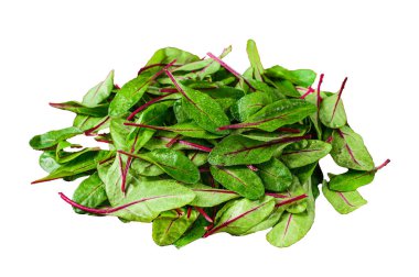 Taze çiğ pazı yaprakları, mangold, ahşap mutfak masasında İsviçre pazısı. Beyaz arkaplanda izole