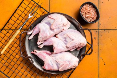 Raw whole quails ready for cooking. Orange background. Top view.