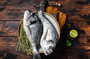 Fresh raw sea bream dorado fish with herbs. Black background. Top view.