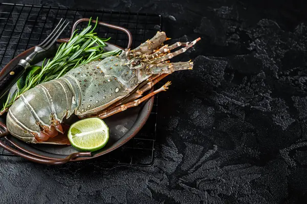Cooking Spiny lobster or sea crayfish with herbs and spices. Black background. Top view. Copy space.