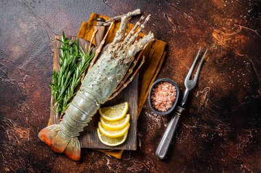 Fresh Spiny lobster on a wooden cutting board with herbs for cooking, raw seafood. Dark background. Top view.