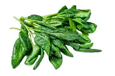 Beyaz arka planda izole edilmiş çiğ ıspanak yaprakları.