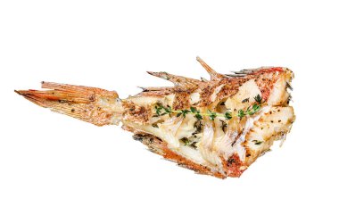 Izgara Kızıl Deniz tüneği beyaz arka planda izole edilmiş. Üst görünüm