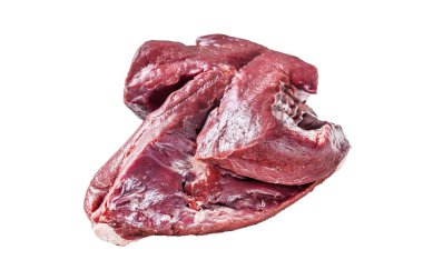 Taze çiğ sığır ciğeri. Beyaz arka planda izole edilmiş. Üst görünüm