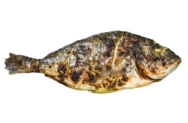 Beyaz arka planda ızgara Dorado balığı. Üst görünüm