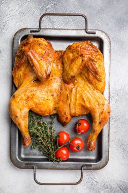 Baharatlı fırında tavuk Tabaka, çelik tepside kümes hayvanı eti. Beyaz arka plan. en üstteki görünüm.