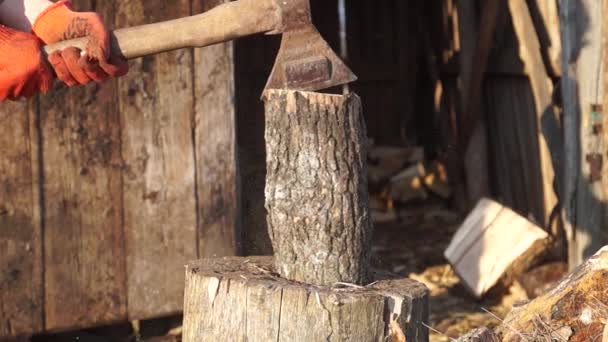 Firewood Oven Wood Preparation Chopping Wood Household Cutting Axe — 图库视频影像